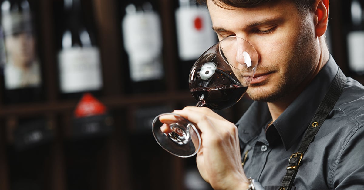Que-debo-saber-para-ser-un-experto-en-vinos