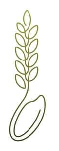 CREHA Menú Octubre_ArrozyPasta