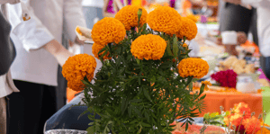 Captura de pantalla 2025-10-30 a la(s) 5.36.42 p.m.