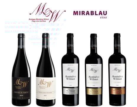 Cata de Vinos Papás_Vinos