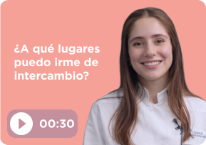 licenciatura-gastronomia-y-ciencias-de-los-alimentos-mini-thumbnail-2