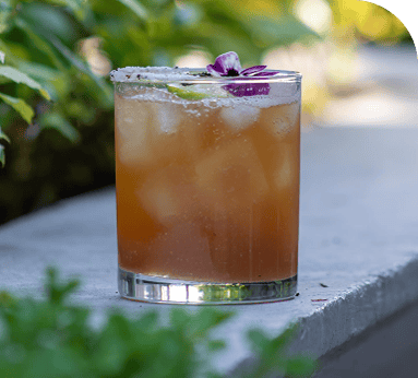 cessa-creha-imagen-4