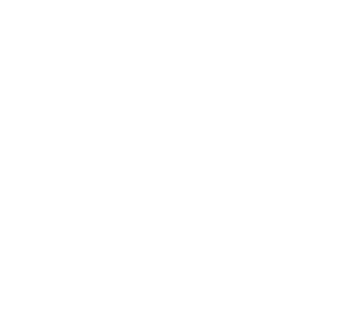 Vector-si
