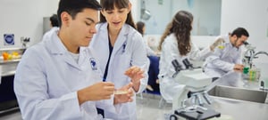 Web_banner-nutricion