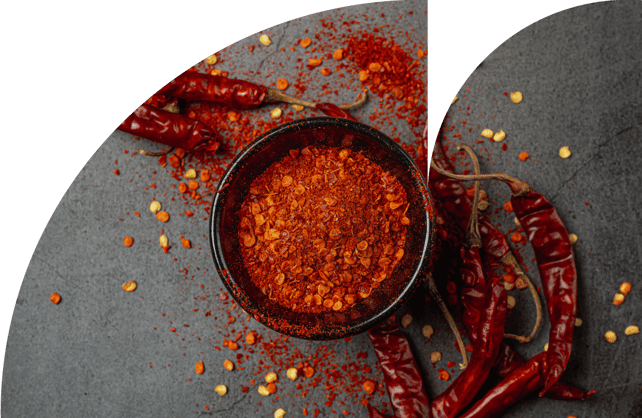 Web_mex-gastro-2-1