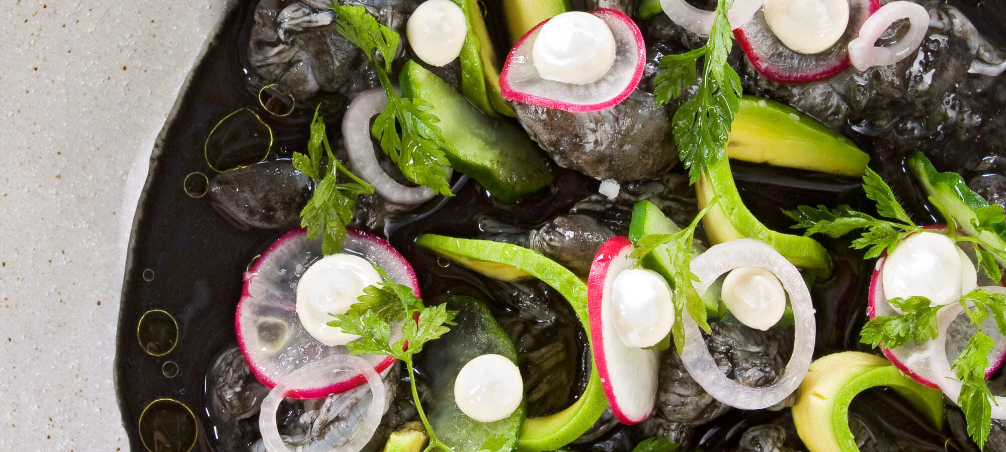 Web_mex-gastro-3-1