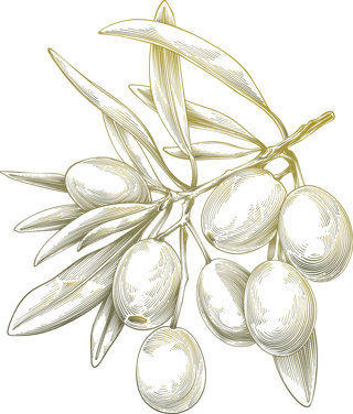 españa-logo españa-logo