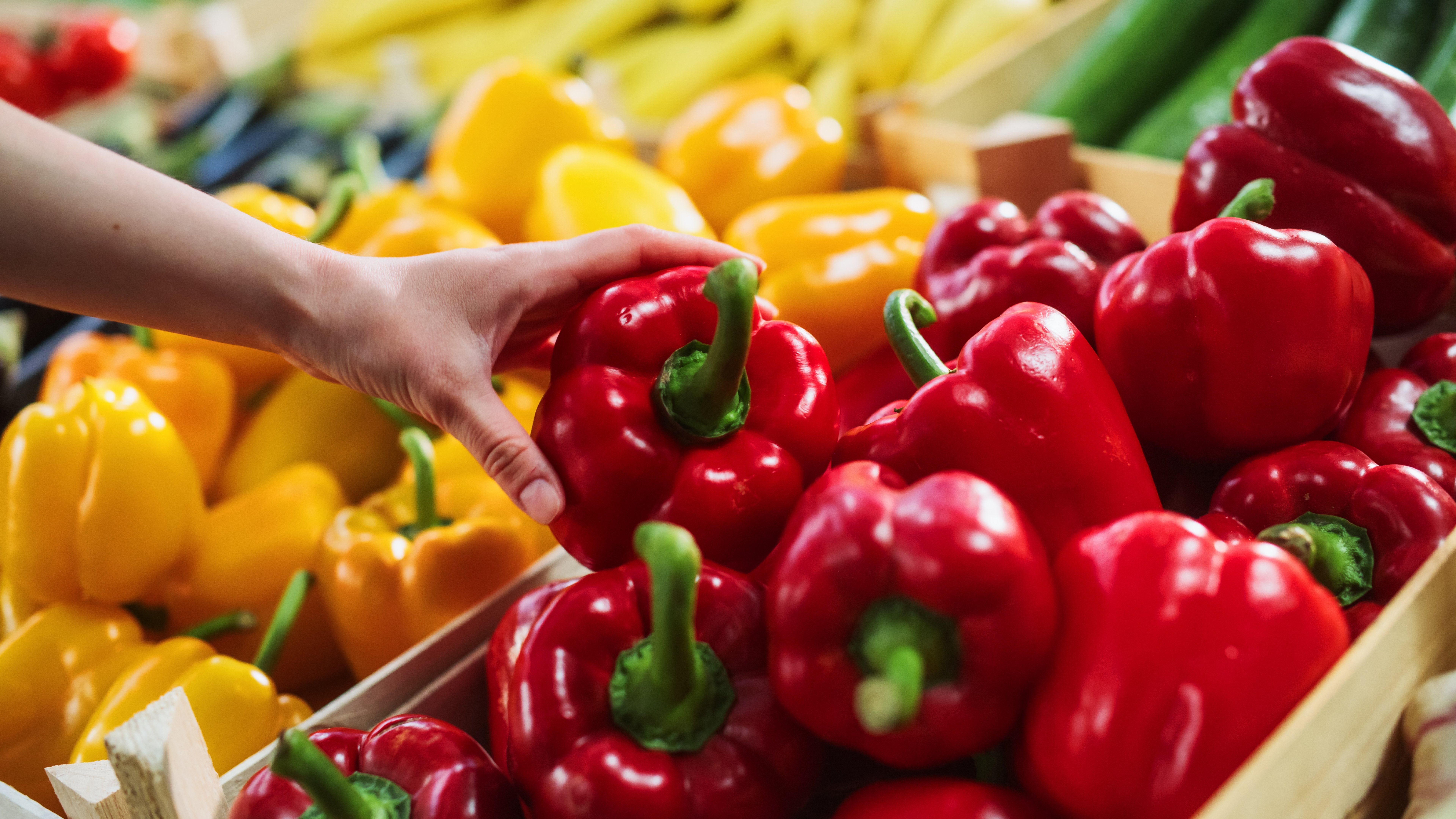 shutterstock_2412963019