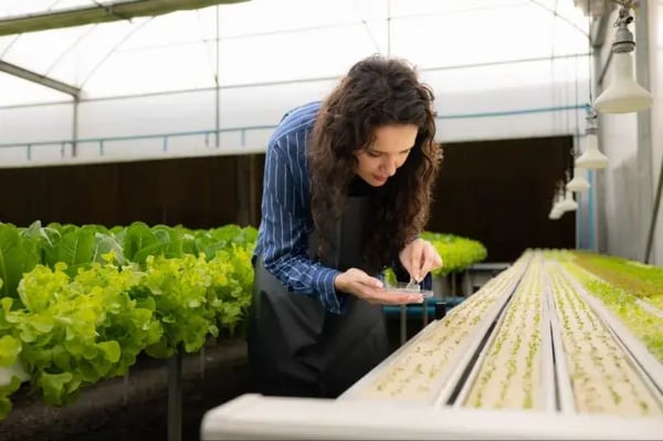 Revisión de cultivo sustentable
