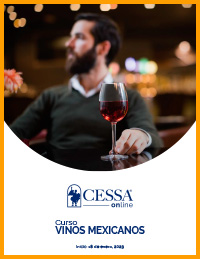 diplomado vinos mexicanos