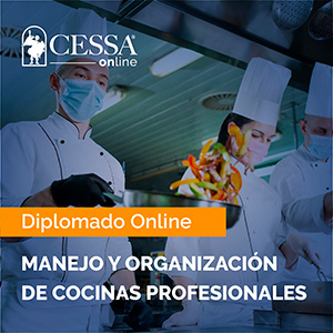 diplomado manejo y organizacion de cocinas profesionales