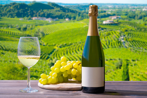 Curso Italia y sus Vinos escuela de negocios de la hospitalidad y alimentación