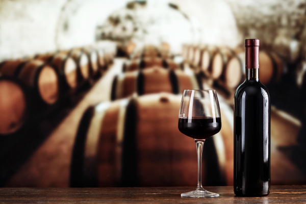 Curso Argentina y Chile y sus Vinos escuela de negocios de la hospitalidad y alimentación