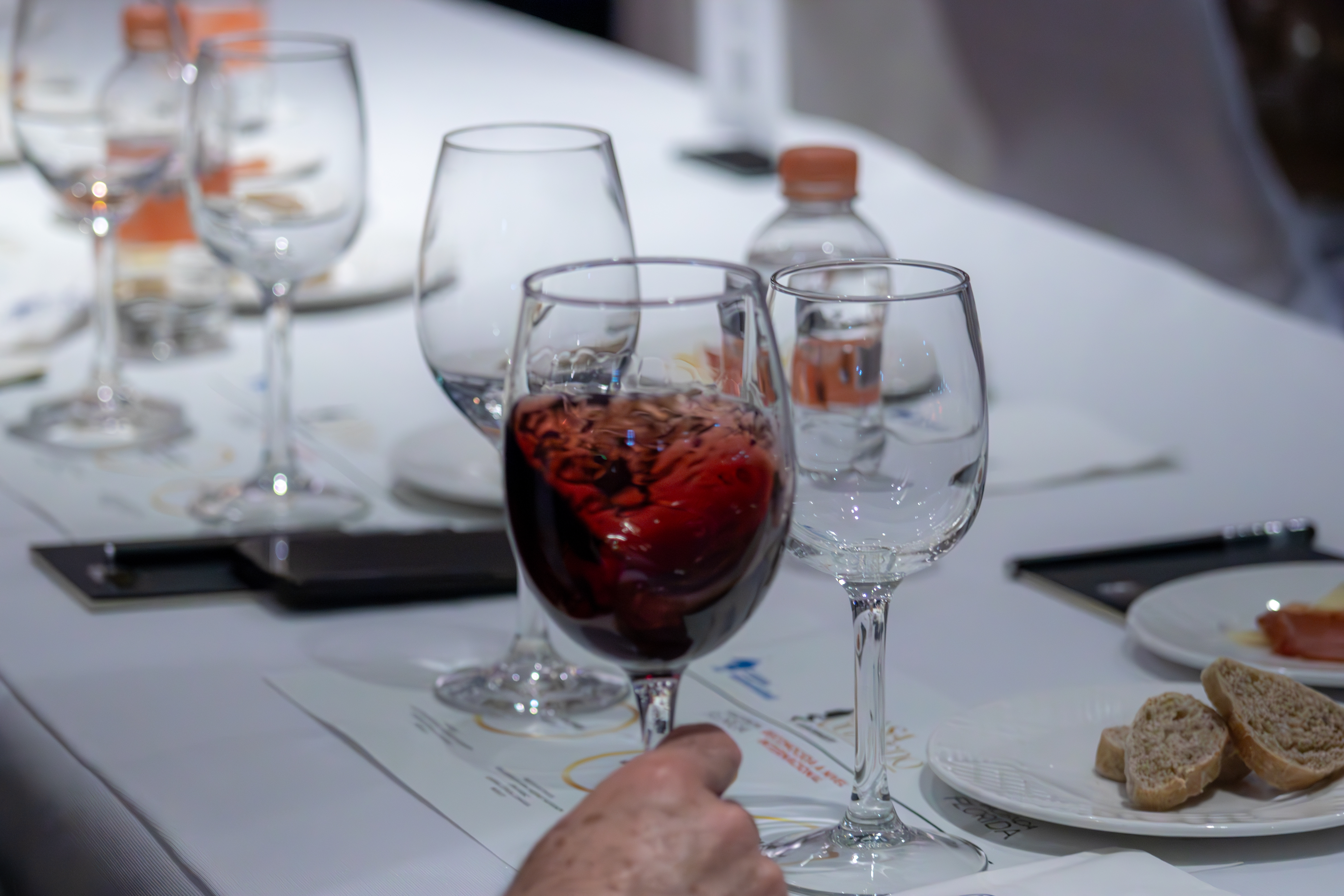 Entre Vinos de Hacienda Florida y la Innovación de Cupra deslumbran en CESSA Campus Edomex (clon)